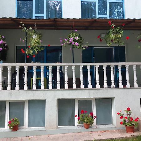 Casa Albastra Hotel Drumu Carului Exterior photo