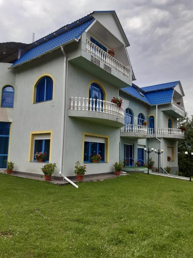 Casa Albastra Hotel Drumu Carului Exterior photo